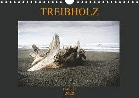 Treibholz Costa Rica (Wandkalend - Staack - Książki -  - 9783670932840 - 