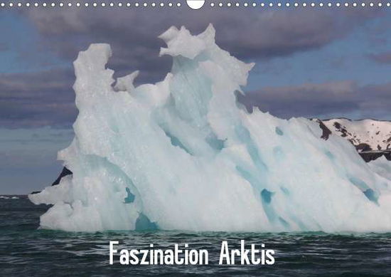 Cover for Springer · Faszination Arktis (Wandkalend (Book)