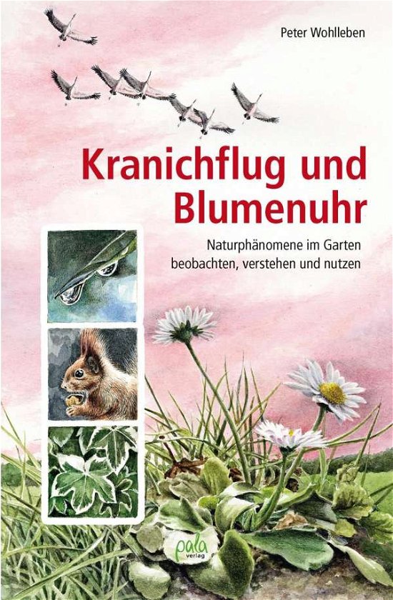 Cover for Wohlleben · Kranichflug und Blumenuhr (Bok)