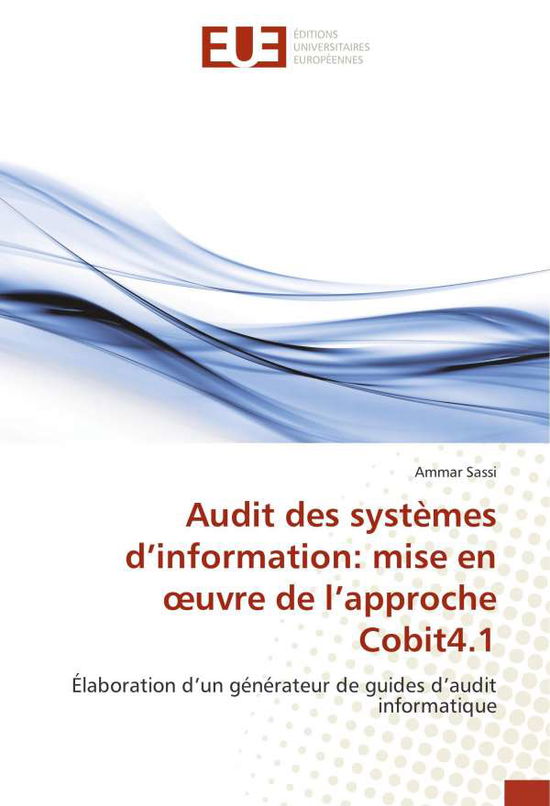 Cover for Sassi · Audit des systèmes d'information: (Book)