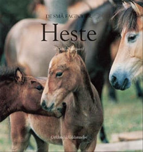 Cover for Gerd Østergaard · De små fagbøger; De små fagbøger. Dyr og natur: Heste (Heftet bok) [1. utgave] (2000)