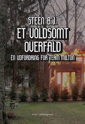 Cover for Steen B.J. · En udfordring for Team Milton: Et voldsomt overfald (Sewn Spine Book) [1th edição] (2023)