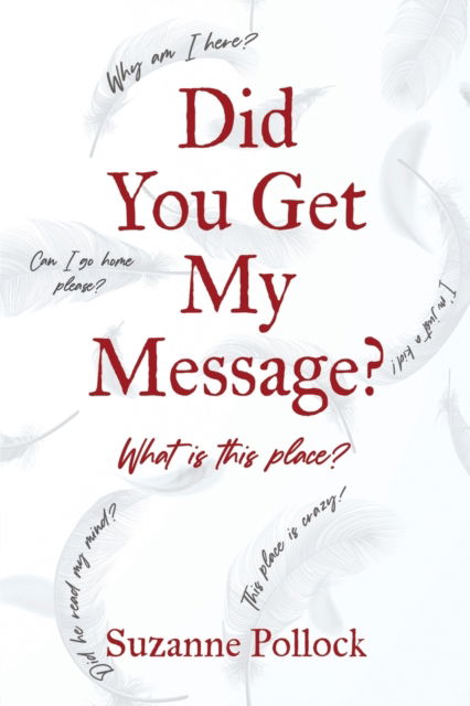 Cover for Suzanne Pollock · Did You Get My Message? (Taschenbuch) (2022)