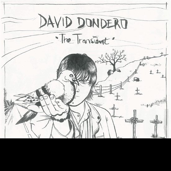 Cover for David Dondero · Transient (LP) [Coloured edition] (2020)