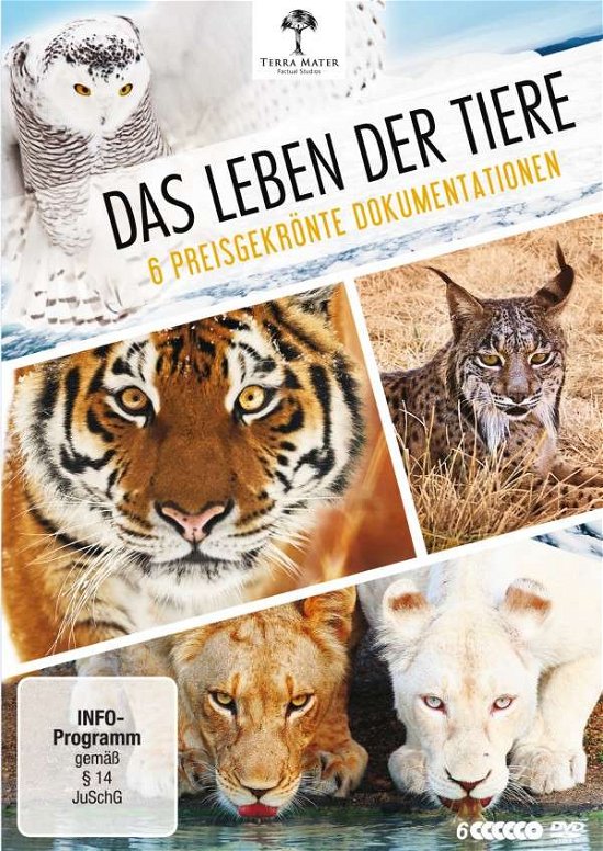Cover for Das Leben Der Tiere (DVD) (2014)