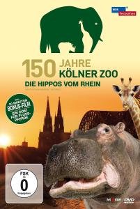 Cover for Kölner Zoo · 150 Jahre Kölner Zoo-die Hippos Vom Rhein (DVD) (2011)