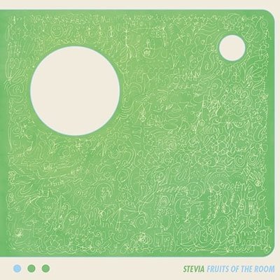 Cover for Susumu Yokota · Fruits Of The Room (LP) (2022)