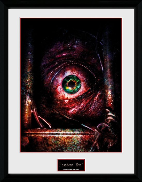 Resident Evil: Eye (Stampa In Cornice 30x40 Cm) - Resident Evil - Merchandise -  - 5028486376841 - 