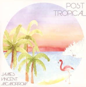 Post Tropical - James Vincent McMorrow - Music - BELIEVE DIGITAL - 5037300786841 - January 9, 2014