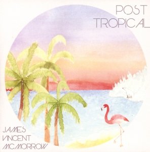 Cover for James Vincent McMorrow · Post Tropical (CD) (2014)
