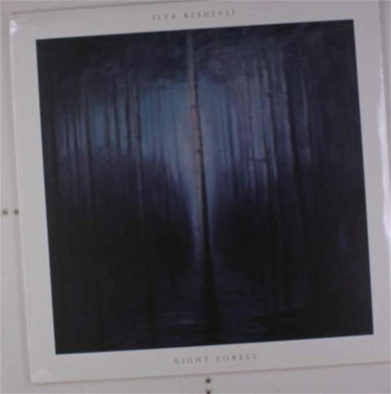 Cover for Ilya Beshevli · Night Forest (LP) [180 gram edition] (2016)