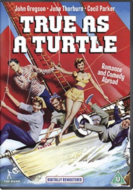 Cover for True As a Turtle · True as a Turtle (DVD) (2016)