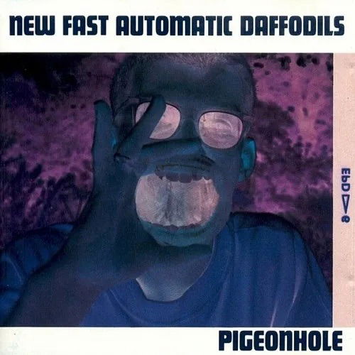 Cover for New Fast Automatic Daffodils · Pigeonhole (LP) (2023)