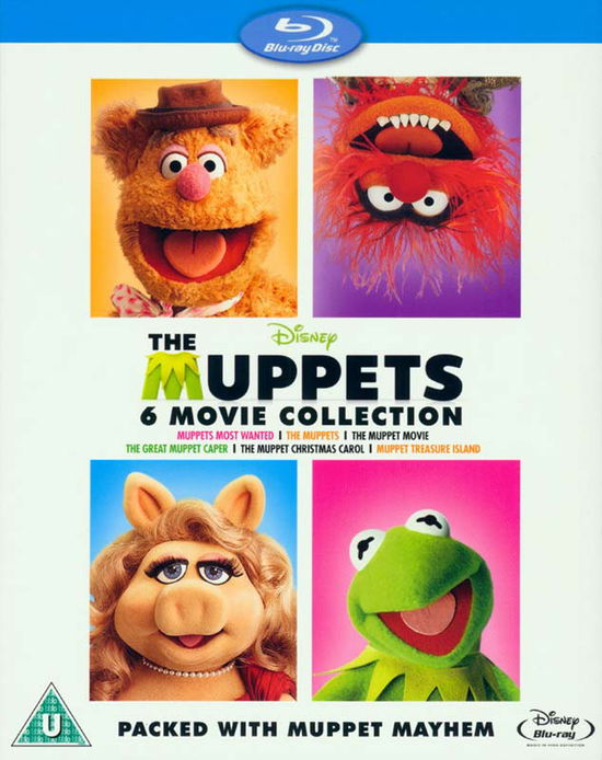 The Muppets Movie Collection (6 Films) - Muppets: 6 Movie Collection - Elokuva - Walt Disney - 8717418436841 - maanantai 11. elokuuta 2014