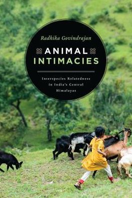 Cover for Radhika Govindrajan · Animal Intimacies: Interspecies Relatedness in India's Central Himalayas (Hardcover Book) (2018)