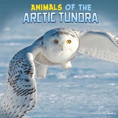 Cover for Martha E. H. Rustad · Animals of the Arctic Tundra - Wild Biomes (Hardcover Book) (2022)