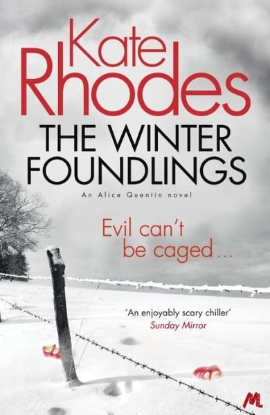 The Winter Foundlings: Alice Quentin 3 - Kate Rhodes - Bücher - Hodder & Stoughton - 9781444738841 - 15. Januar 2015
