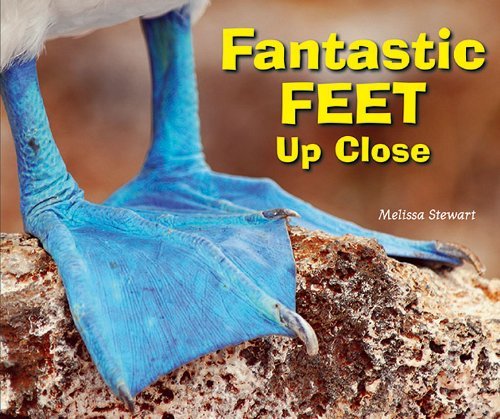 Cover for Melissa Stewart · Fantastic Feet Up Close (Animal Bodies Up Close) (Pocketbok) (2012)