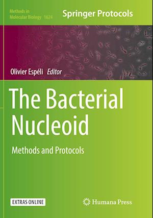 Cover for The Bacterial Nucleoid: Methods and Protocols - Methods in Molecular Biology (Paperback Book) [Softcover reprint of the original 1st ed. 2017 edition] (2018)