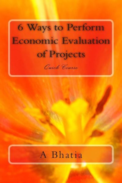 Cover for A Bhatia · Six Ways to Perform Economic Evaluation of Projects: Quick Course (Paperback Book) (2014)