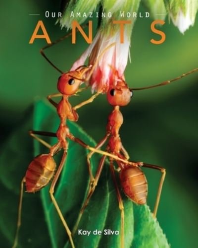 Cover for Kay De Silva · Ants (Pocketbok) (2016)