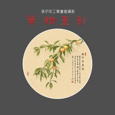 Cover for Mr Yuming Sun · Yuming Sun's Chinese Pictorial Photography (Pocketbok) (2017)
