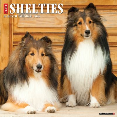 Willow Creek Press · Just Shelties 2025 12 X 12 Wall Calendar (Kalender) (2024)