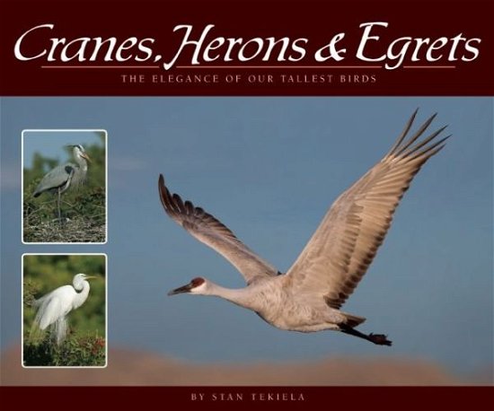 Cover for Stan Tekiela · Cranes, Herons &amp; Egrets: The Elegance of Our Tallest Birds - Wildlife Appreciation (Paperback Bog) (2016)