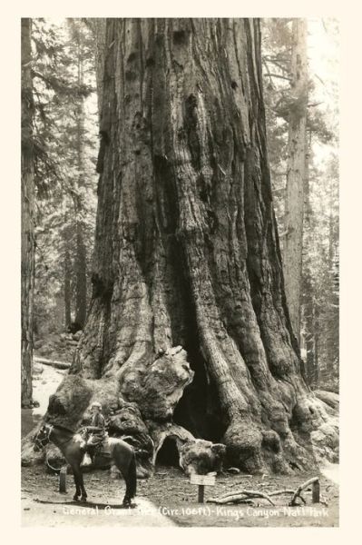 Cover for Found Image Press · The Vintage Journal General Grant Sequoia, Kings Canyon National Park (Paperback Book) (2022)