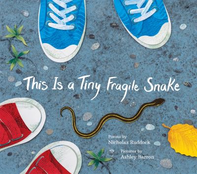 This Is a Tiny Fragile Snake - Nicholas Ruddock - Books - Groundwood Books Ltd ,Canada - 9781773067841 - March 21, 2024