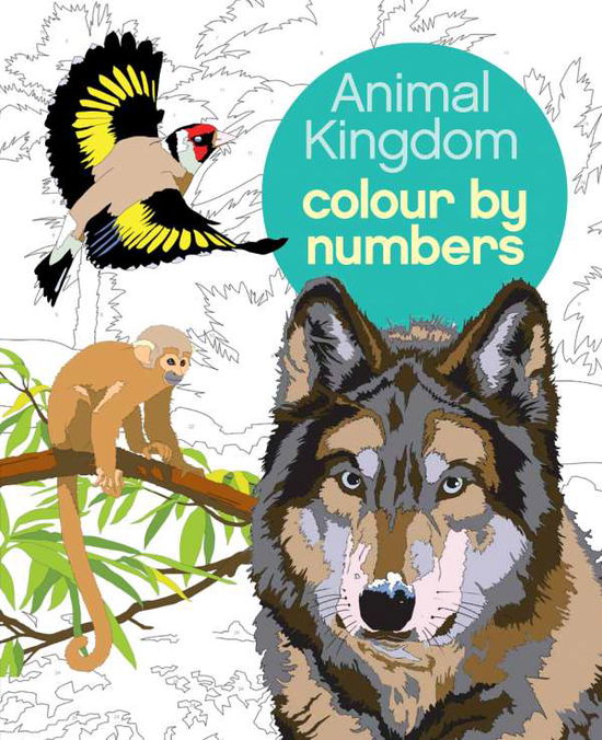 Cover for Sanders, Martin (Illustrator) · Animal Kingdom Colour by Numbers - Arcturus Colour by Numbers Collection (Paperback Book) (2016)