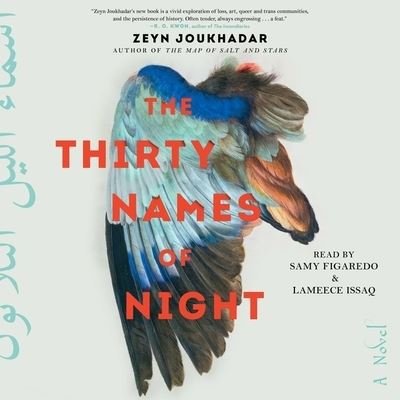 Cover for Zeyn Joukhadar · The Thirty Names of Night : A Novel (CD) (2020)