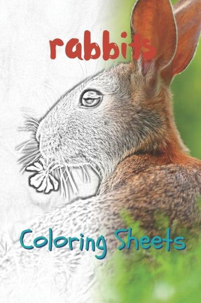 Rabbit Coloring Sheets - Julian Smith - Książki - Amazon Digital Services LLC - Kdp Print  - 9781797658841 - 20 lutego 2019