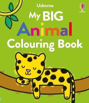 Cover for Kate Nolan · My Big Animal Colouring Book - Big Colouring (Paperback Bog) (2024)