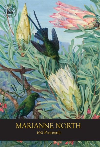 Cover for RBG Kew · Marianne North 100 Postcards (Bok) (2019)