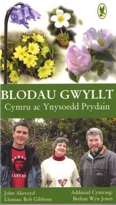 Cover for John Akeroyd · Blodau Gwyllt Cymru ac Ynysoedd Prydain (Paperback Book) (2006)