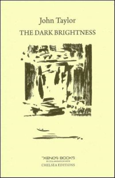 Cover for Lecturer in Classics John Taylor · The Dark Brightness (Paperback Book) (2017)