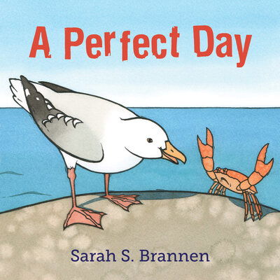 Cover for Sarah S. Brannen · A Perfect Day (Hardcover Book) (2020)