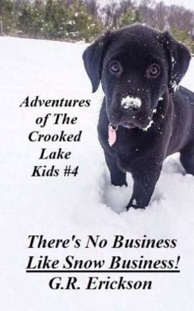 Cover for G R Erickson · Adventures of The Crooked Lake Kids #4 - There's No Business Like Snow Business! (Paperback Bog) (2018)