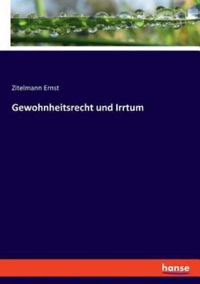 Cover for Zitelmann Ernst · Gewohnheitsrecht und Irrtum (Pocketbok) (2019)