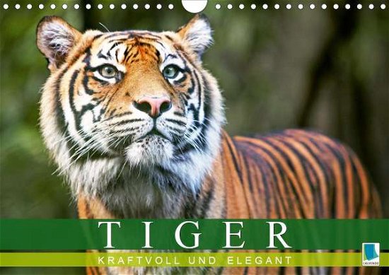 Cover for Tiger · Kraftvoll Und Elegant (Wandkalen (Bog)