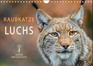 Raubkatze Luchs (Wandkalender 2022 DIN A4 quer) - Peter Roder - Merchandise - Calvendo - 9783673950841 - May 25, 2021