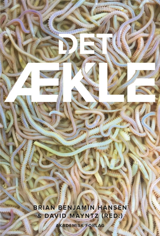 Cover for Brian Benjamin Hansen; David Mayntz · Det ækle (Sewn Spine Book) [1e uitgave] (2018)