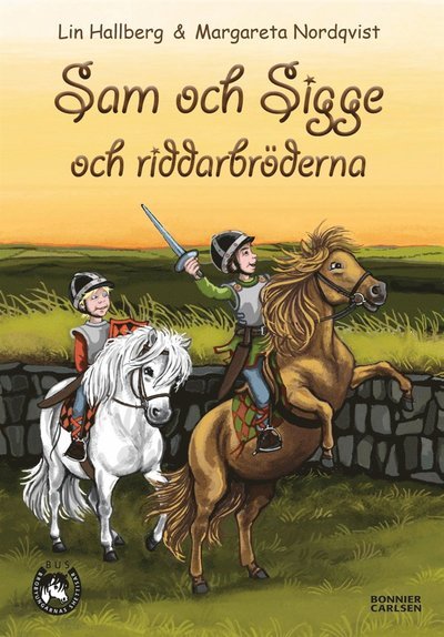 Cover for Lin Hallberg · Sam och Sigge: Sam och Sigge och riddarbröderna (ePUB) (2015)