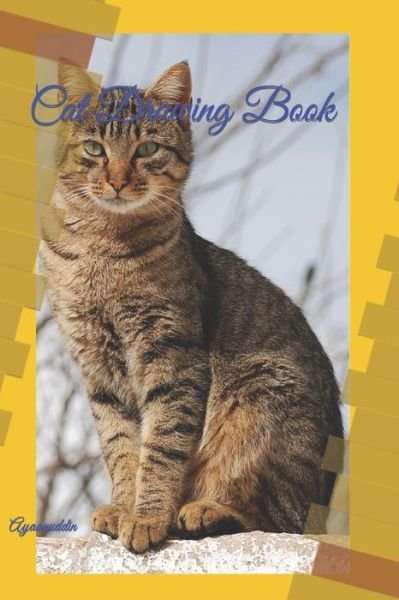 Cover for Ayaanuddin · Cat Drawing Book: Ayaanuddin (Pocketbok) (2022)