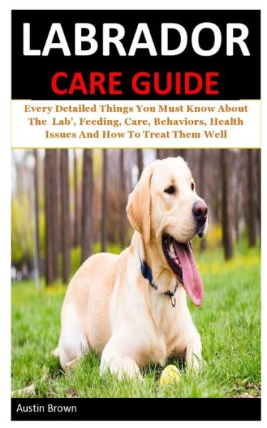 Cover for Austin Brown · Labrador Care Guide (Paperback Book) (2020)