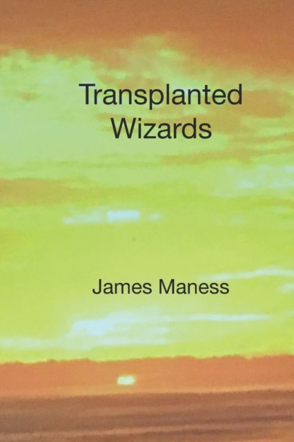 Cover for James Maness · Transplanted Wizards - Wizards (Paperback Book) (2021)