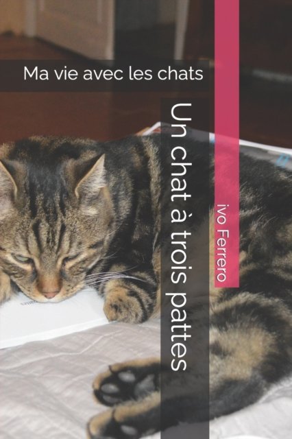 Cover for Ivo Ferrero · Un chat a trois pattes: Ma vie avec les chats (Paperback Book) (2021)