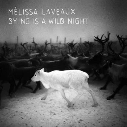 Dying is a Wild Night - Melissa Laveaux - Musique -  - 0602537296842 - 26 février 2013