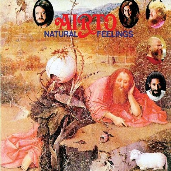 Natural Feelings - Airto - Musiikki - REAL GONE MUSIC - 0848064008842 - maanantai 8. heinäkuuta 2019